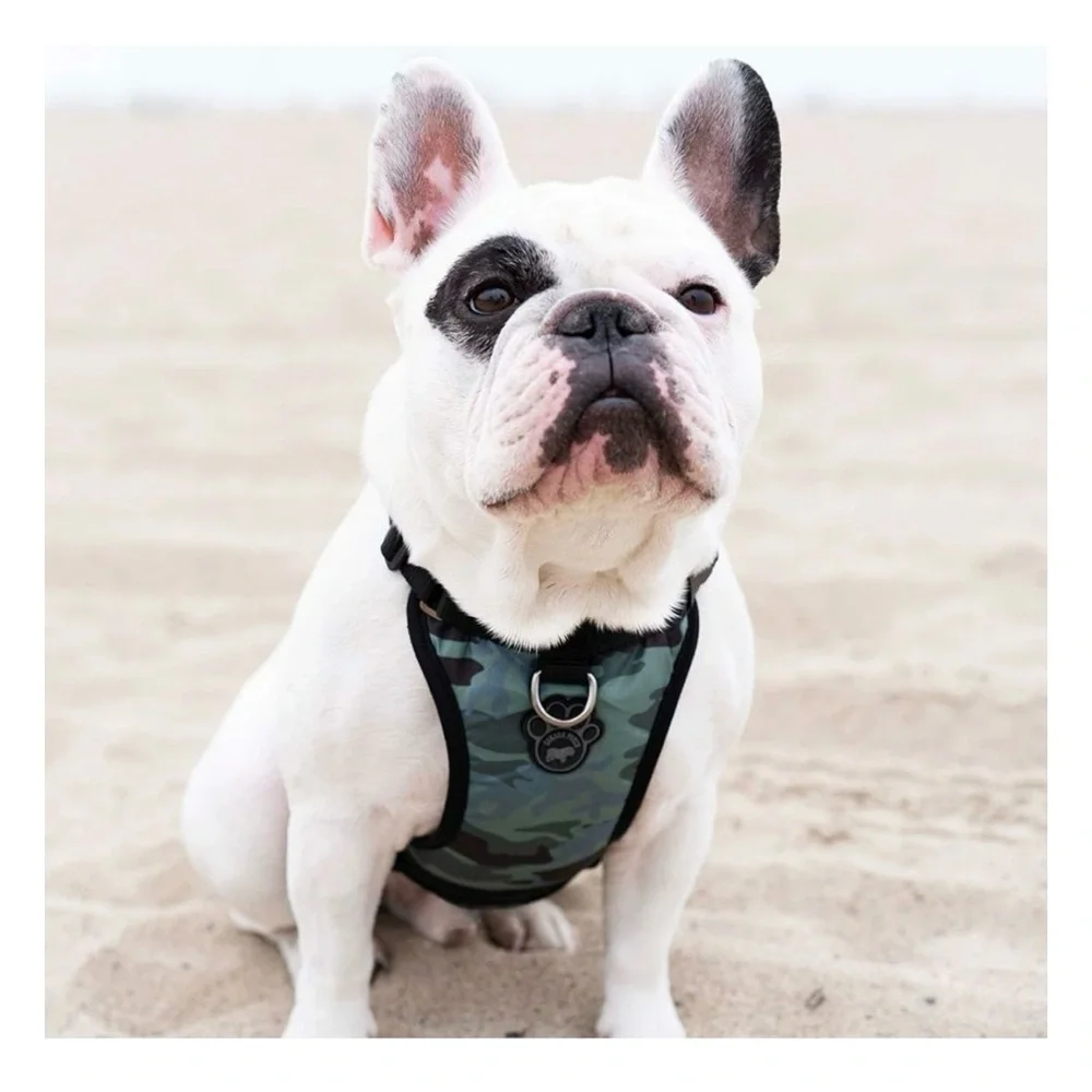 Canada Pooch Dog Harness - Picture 2 of 3